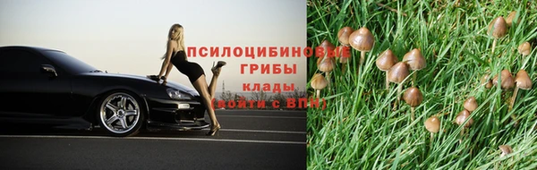 мет Армянск